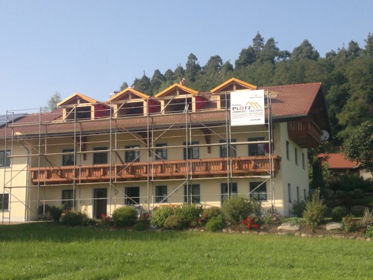 zimmerei-ploetz-altbau-sarnierung03